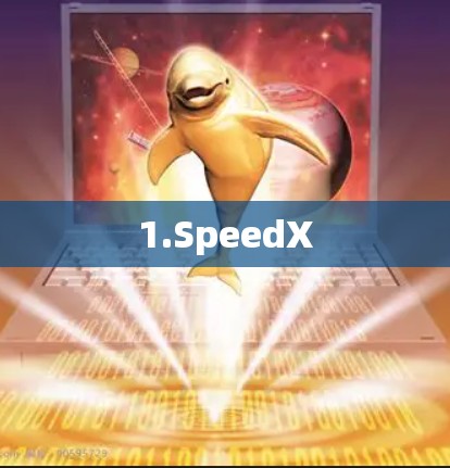 1.SpeedX