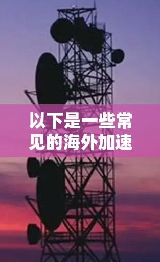 以下是一些常见的海外加速器及其特点