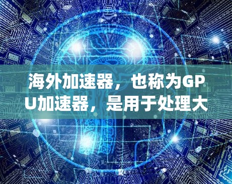 海外加速器，也称为GPU加速器，是用于处理大量计算任务的专用处理器。它们在科学计算、图形渲染、游戏 rendering、数据处理等领域发挥重要作用。以下是对海外加速器的详细介绍