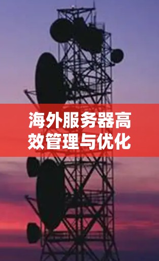 海外服务器高效管理与优化工具