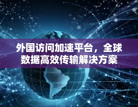 外国访问加速平台，全球数据高效传输解决方案