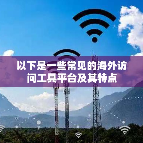 以下是一些常见的海外访问工具平台及其特点