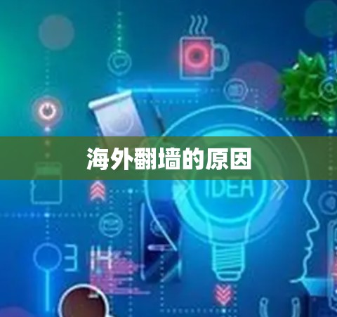 海外翻墙的原因