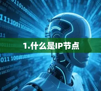 1.什么是IP节点
