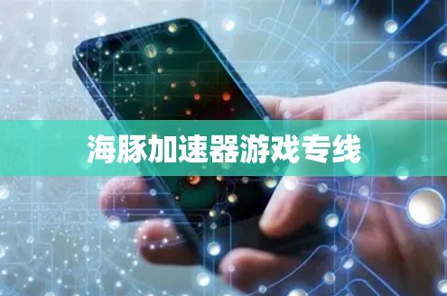 海豚加速器游戏专线