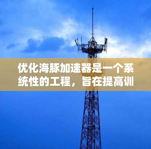 优化海豚加速器是一个系统性的工程，旨在提高训练效率和性能。以下是对优化海豚加速器的详细分步指南