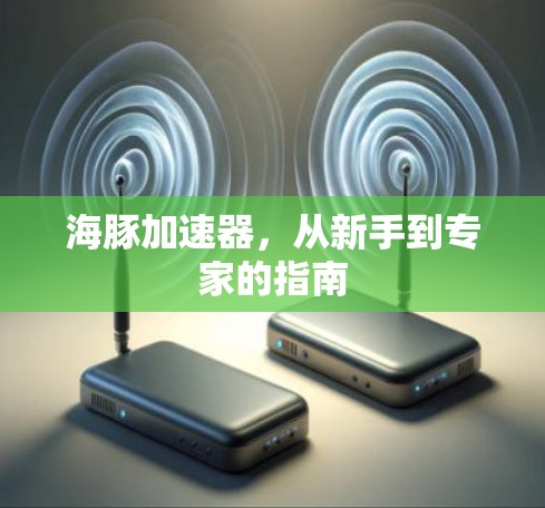海豚加速器,从新手到专家的指南 海豚加速器,从新手到专家的指南