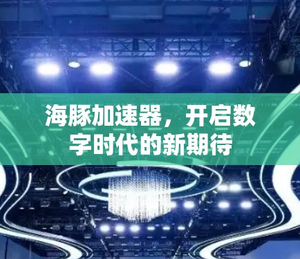 海豚加速器，开启数字时代的新期待
