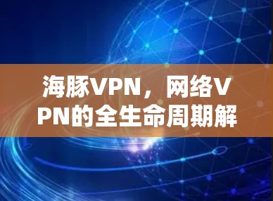 海豚VPN，网络VPN的全生命周期解决方案