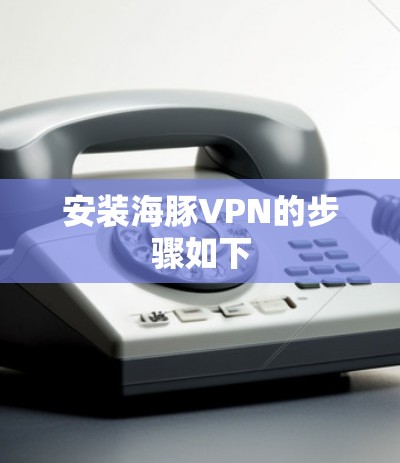 安装海豚VPN的步骤如下