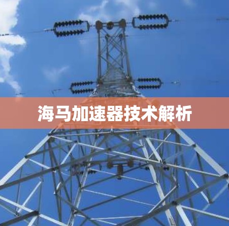 海马加速器技术解析 海马加速器技术解析