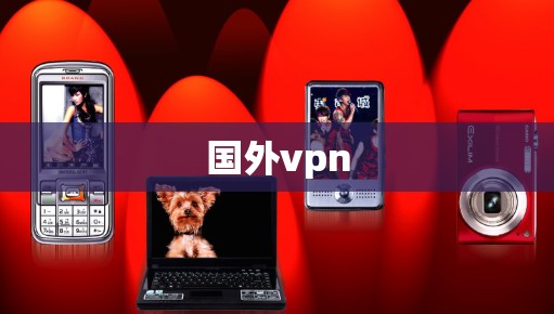 国外vpn 国外vpn