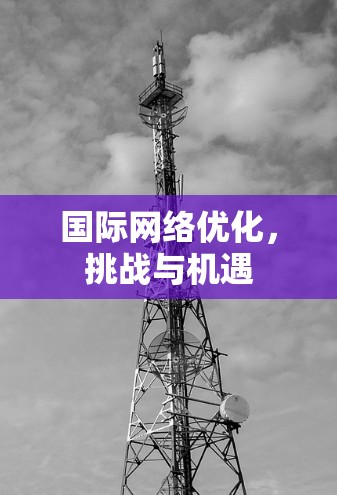 国际网络优化，挑战与机遇