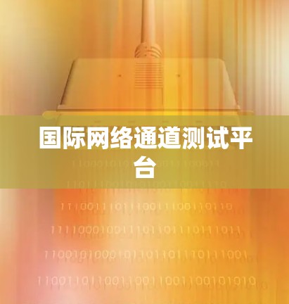 国际网络通道测试平台