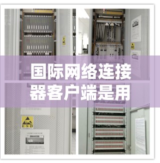 国际网络连接器客户端是用于访问国际互联网的工具，适合用户需要访问美国等国家的网络环境。以下是详细的使用步骤和功能说明