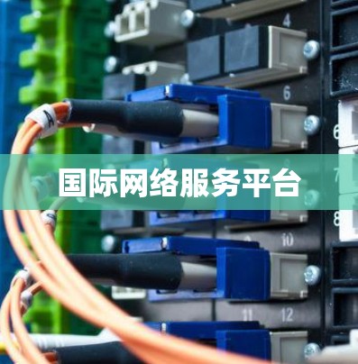 国际网络服务平台