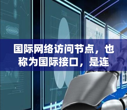 国际网络访问节点，也称为国际接口，是连接到国际网络设备的接口，用于处理国际化的 IP地址、port数、端口标识等信息，进行数据的发送和处理。以下是对国际接口的详细说明