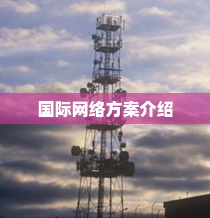 国际网络方案介绍