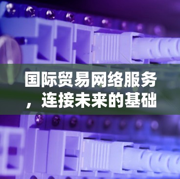 国际贸易网络服务，连接未来的基础设施