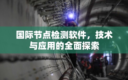国际节点检测软件，技术与应用的全面探索